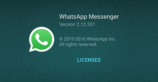 WhatsApp 2.2325.3 for android download